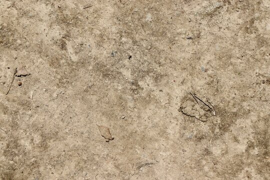 A clods view of the hard day soil surface.