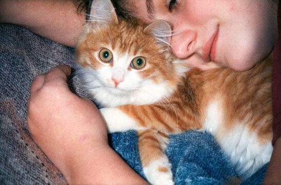 Person Cuddling Orange Cat, Shot on Film