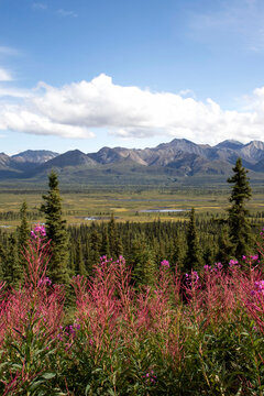 Mountains on the Glenn Highway in Alaska