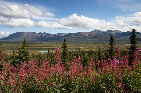 Mountains on the Glenn Highway in Alaska