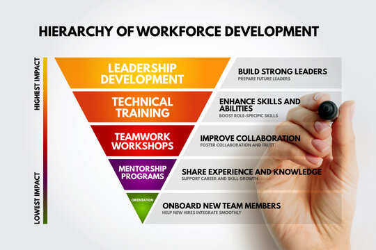 Hierarchy of Workforce Development chart showing leadership development technical training teamwork workshops mentorship programs and orientation levels for employee growth