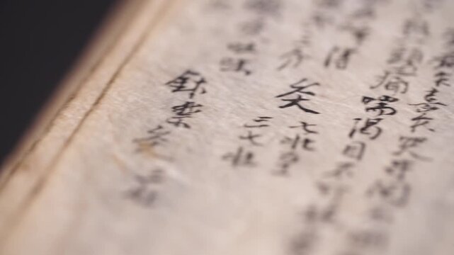 Chosun Dynasty Korean Medicine Book Antique Book Medical Text Hanji Hanja Historical Document Korea 조선시대 한의학 서적 고서 한의학서적 경혈도 한지 한자 역사기록물 문화재 한국