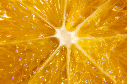 Macro orange fruit slice showing detailed pulp vesicle structure and central pith