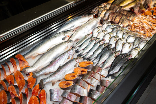 Assorted Fresh Raw Fish, Salmon Steaks, and Seafood Displayed on Crushed Ice