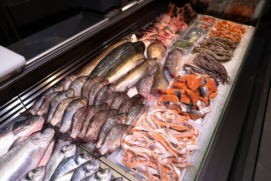 Assorted Fresh Raw Fish, Salmon Steaks, and Seafood Displayed on Crushed Ice