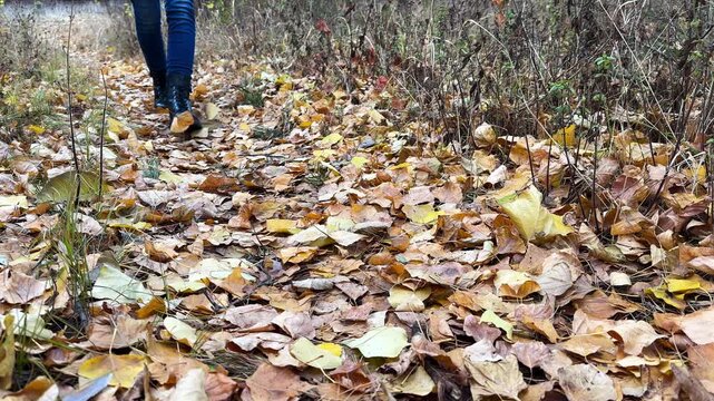 Female feet in boots going on fallen leaves at forest. Legs of young woman stepping on yellow foliage at autumn park. Girl walking along trail at wild nature. Close up Slow motion