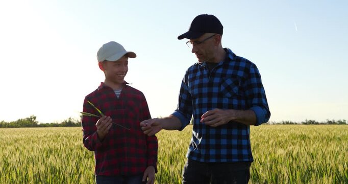 Father and son walking through green wheat field while sharing agricultural experience. Smiling father hands wheat plant to child, symbolizing knowledge transfer, family values and future generations.