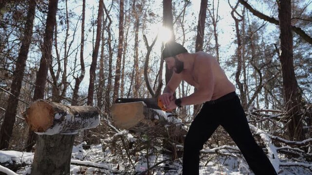 Shirtless bearded man sawing a log in sunny winter forest. Strong guy working with saw in snowy woodland. The scene highlights human effort and outdoor activity in cold conditions. Slow motion