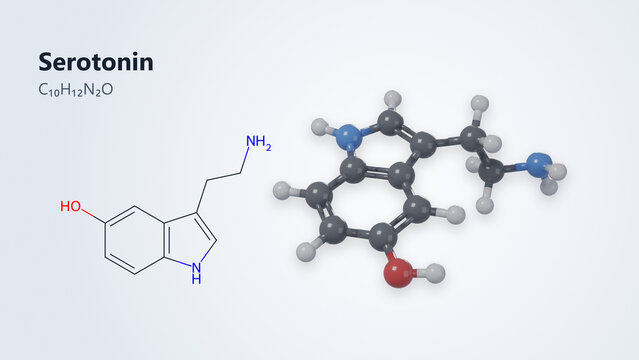 Serotonin molecular structure: 3D model, skeletal formula and chemical formula C10H12N2O