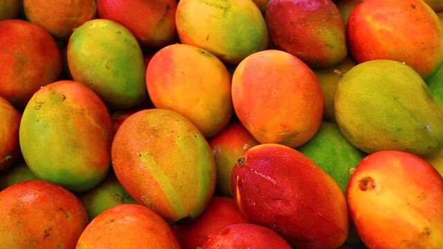 Vibrant ripe tropical mangoes piled at a Brazilian street market. Colorful fresh fruits displaying rich red, yellow, and green hues. Healthy organic food background and natural agriculture.