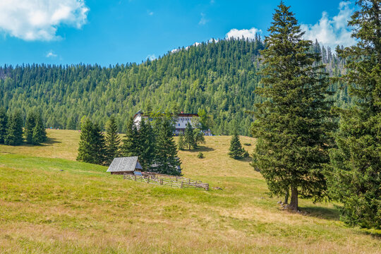 Scenic View from the Hiking Trail to Kalatowki Meadow in Zakopane, Poland, on a Sunny Day, Beautiful Tatra Mountain Landscape, Green Alpine Meadows and Picturesque Forest Trail in the Polish Tatras
