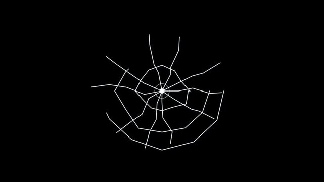 Minimalist white spider web animation on black background, abstract geometric line motion geometry