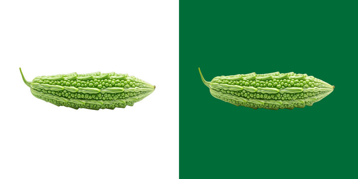 Fresh bitter melon vegetable with bumpy green skin texture for healthy eating