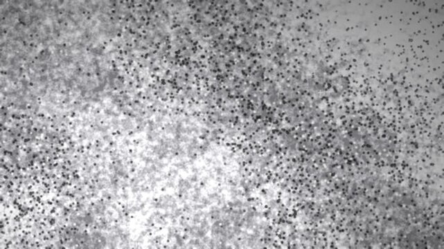 Animaci&oacute;n en bucle de granito negro pulido con destellos minerales