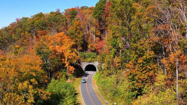 Forest road leading into mountain tunnel surrounded by vibrant autumn foliage. Picturesque seasonal scenery highlighting travel and transportation infrastructure.