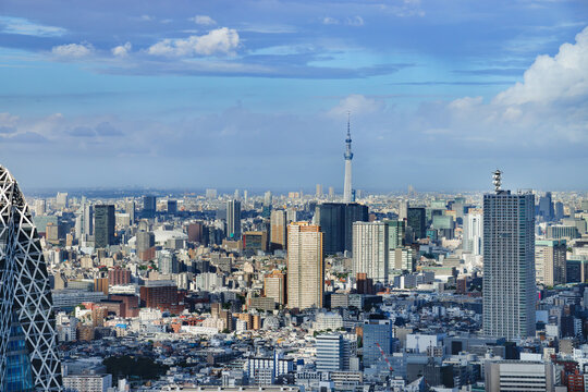 青空の下で立ち並ぶ東京の高層ビル群と都市の景観