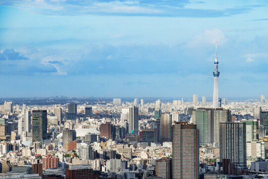 青空の下で立ち並ぶ東京の高層ビル群と都市の景観