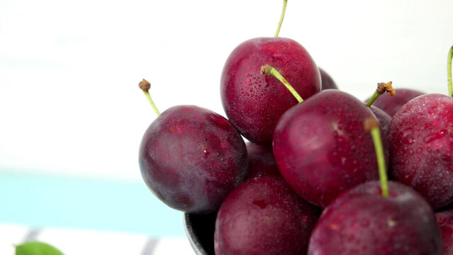 Fresh purple plums with water droplets in a metal bucket