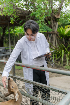 An Asian male veterinarian in a white lab coat holds a clipboard and stethoscope while checking the health of a deer in a zoo enclosure.