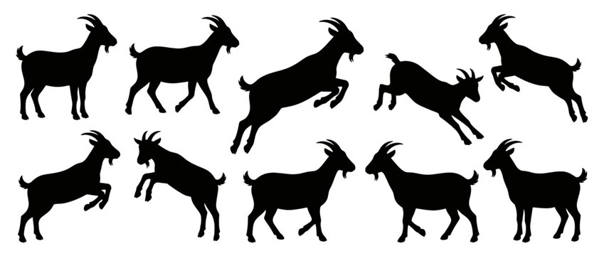 Goat silhouettes in dynamic poses. Mountain goat and ibex animal icons. Goat, ibex, mountain goat. Black and white vector illustration.
