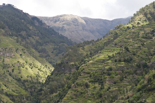 View to the valley of Lombo das Tercas from Levada Nova, Madeira, Portugal