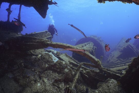Diver exploring a shipwreck surrounded by fish in deep blue. Dive site Wreck of the Condesito, Las Galletas, Tenerife, Canary Islands