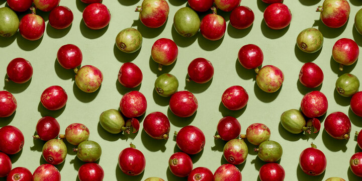 Coffee cherry fruit texture seamless, tileable surface for graphic element backdrop banner background