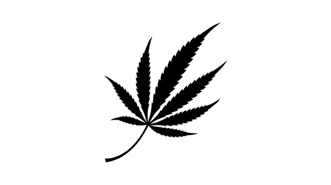 Black Cannabis leaf drawing silhouette, medical marijuana icon on white background 