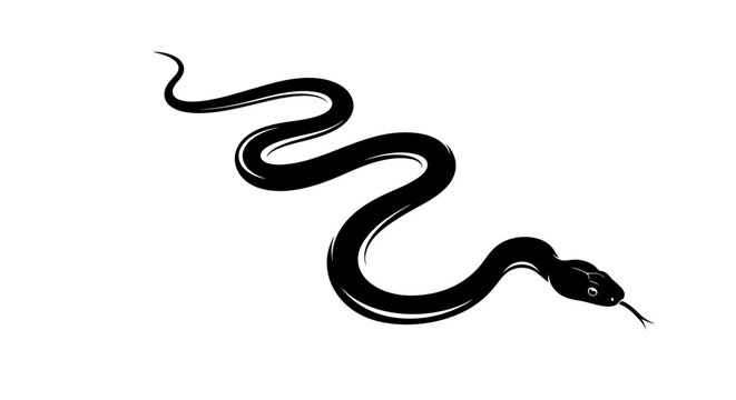 Coiled black snake silhouette illustration with forked tongue. Detailed serpent vector graphic, isolated on white background.