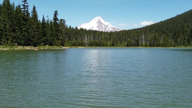 Forest and Frog Lake, Oregon