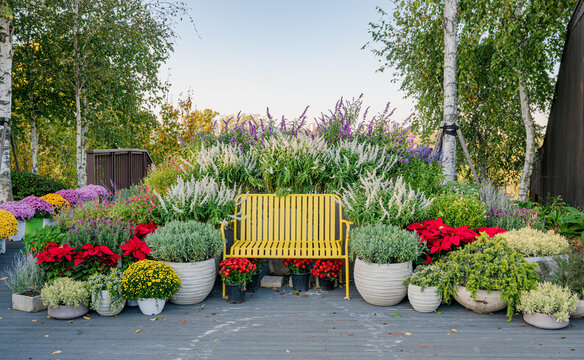 정원에 화사한 알록달록한 화분 꽃들로 둘러싸인 노란색 벤치(Bright yellow bench surrounded by colorful potted flowers in a garden in Korea.)
