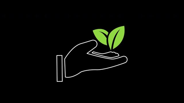 Sustainable agriculture icon animation on transparent background showing open hand holding plant seedling and water drop with trim paths in and out. Organic farming cultivation technology concept.