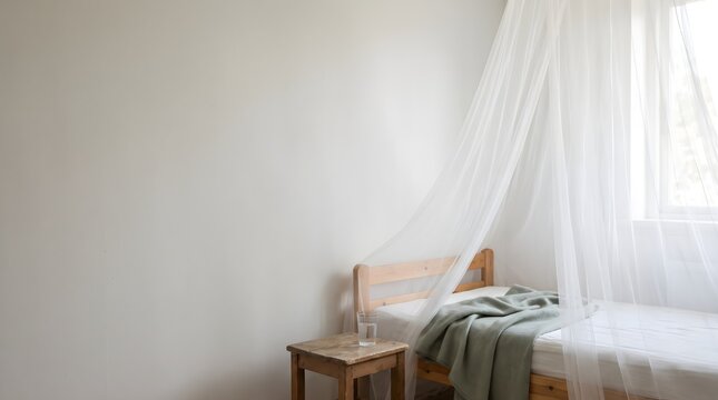 White mosquito net draped over wooden bed in bright room