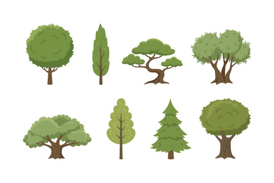 Set of flat green trees, deciduous, pine and bonsai tree icons, nature vector illustration