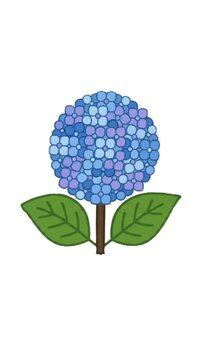 This animated video presents a lovely round hydrangea flower centered against a plain white background. The blossom features a dense cluster of delicate petals in shades of soft blue and purple.