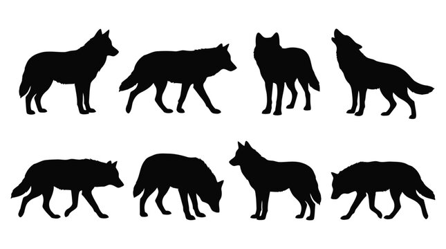 Set of wolf silhouettes in various poses