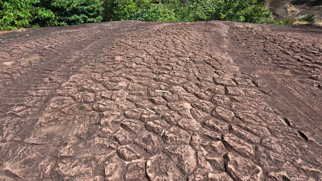 Volcanic rock surface with weathered texture and forest vegetation creates rugged natural landscape for geology travel and outdoor exploration