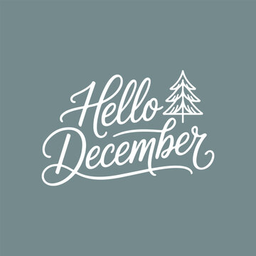 Hello December handwritten cursive lettering vector design with pine tree. Hello December hand drawn script quote for winter holiday t-shirt design. 