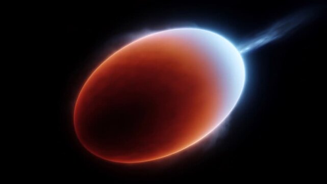 遠心力で楕円形に変形した自転星の重力減光と恒星風ジェットの観測