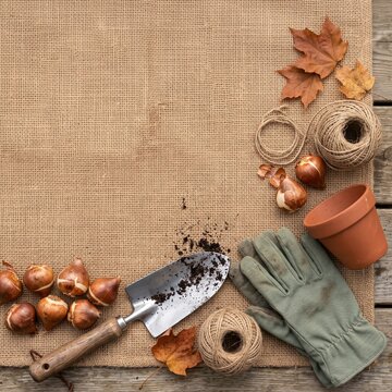 Flat lay composition of autumn gardening tools, flower bulbs, terracotta pot, twine, and gloves arranged on burlap fabric with ample copy space