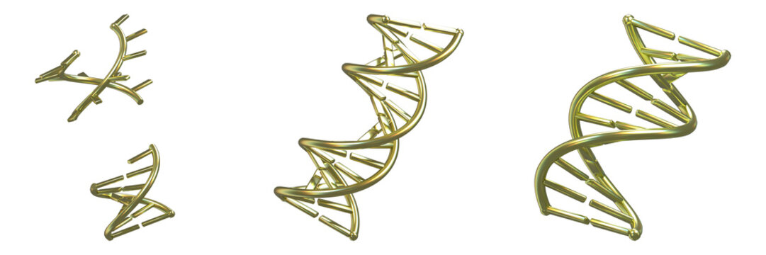 Nucleic acid damage and repair illustration set