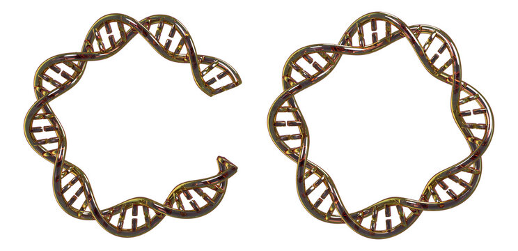 Open and closed plasmid comparison in iridescent plastic