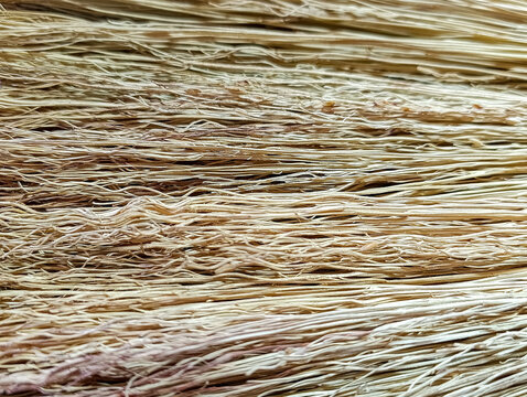 Close-up of natural dry sorghum broom straw texture. Abstract background of intertwined beige and brown plant fibers showing horizontal parallel lines and organic details.