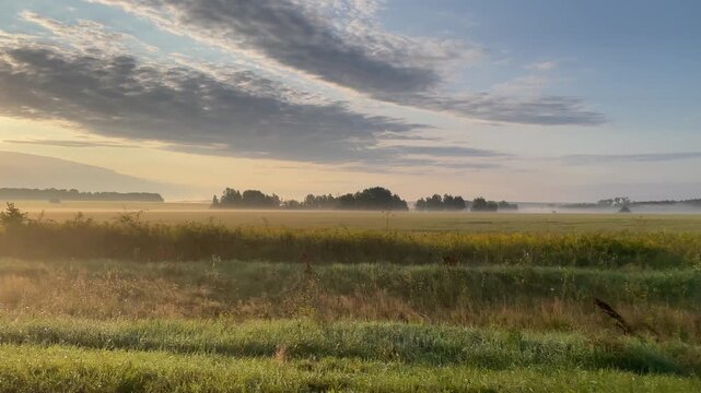sunflower fields and low mist sweep past a car window beneath expansive evening clouds, creating an atmospheric countryside journey through fertile farmland and soft golden light