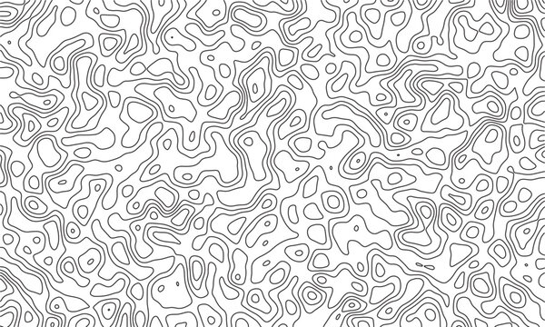 abstract black and white organic contour line background with intricate irregular topographic shapes and flowing maze-like outlines