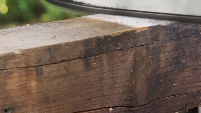 Close-up of a chainsaw cutting through a rough wooden beam on a sunny day.
