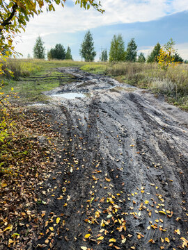 Muddy dirt road with deep tire tracks and puddles. Fall leaves scatter along the wet, uneven surface. Trees frame both sides with autumn yellow foliage.