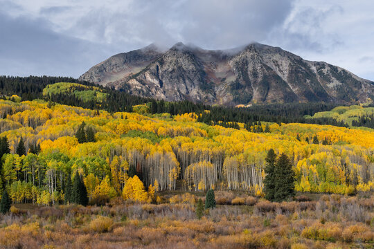 Aautumn Foliage in the Rocky Mountains of Colorado.. Weather system rolling in over Kebler Pass.