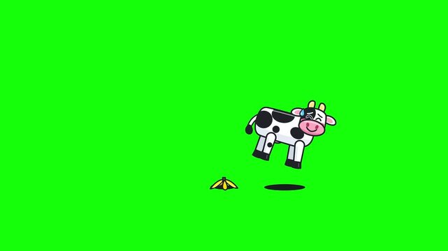 Cute Cartoon Cow Slipping on Banana Peel Animation on Green Screen Loop