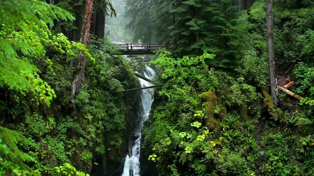 Beautiful scenic view of a waterfall flowing under a wooden bridge in a green mossy forest